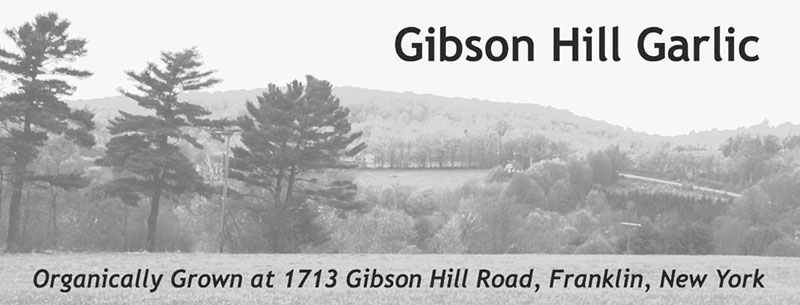 Gibson Hill Garlic, Franklin, NY